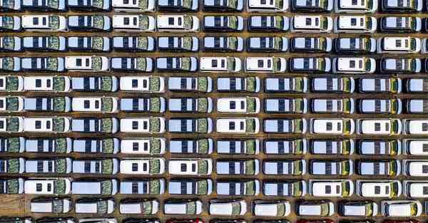 动物保护宣传片制作_动物保护宣传装饰品