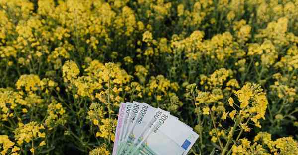 企业楼盘宣传片制作