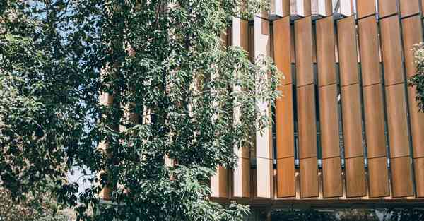 免费宣传片制作_免费宣传片制作软件